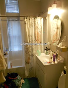 Fenway/kenmore 1 Bed 1 Bath on Burbank St in BOSTON Boston - $3,004