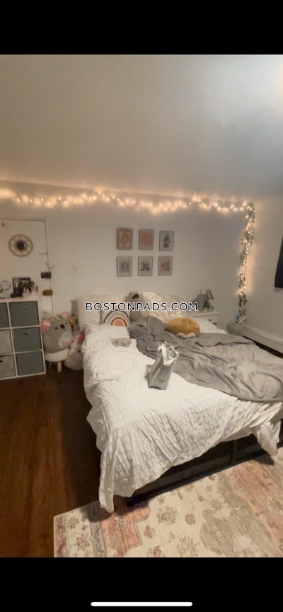 Brighton 2 Beds 1 Bath Boston - $2,700