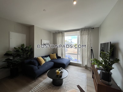 Brighton 1 Bed 1 Bath Boston - $2,743