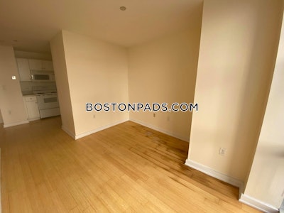 Downtown 1 Bed 1 Bath BOSTON Boston - $3,000