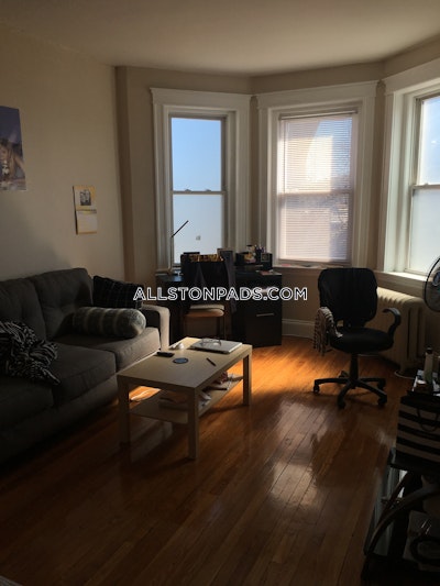 Allston Apartment for rent 1 Bedroom 1 Bath Boston - $2,600