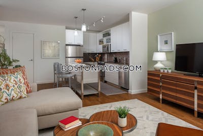 Downtown Apartment for rent 1 Bedroom 1 Bath Boston - $4,124