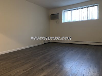 Allston Apartment for rent 1 Bedroom 1 Bath Boston - $2,700