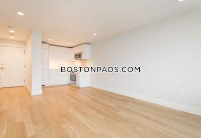 Cambridge Apartment for rent 1 Bedroom 1 Bath  Harvard Square - $3,275