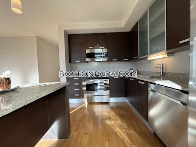 West End Apartment for rent 1 Bedroom 1 Bath Boston - $4,315