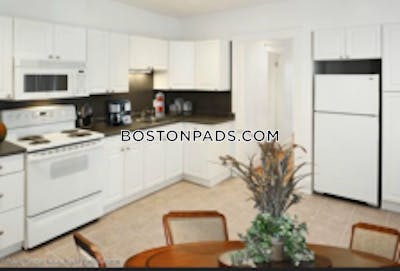 Allston Apartment for rent 1 Bedroom 1 Bath Boston - $3,050 No Fee