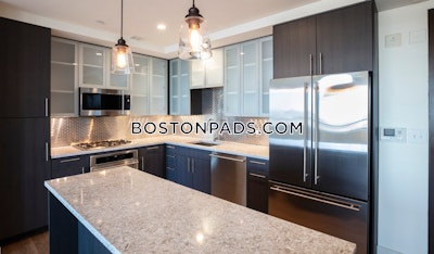 West End 1 bedroom  Luxury in BOSTON Boston - $4,198