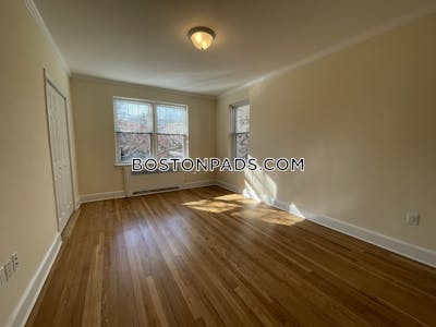 Brighton Apartment for rent 1 Bedroom 1 Bath Boston - $3,125 No Fee