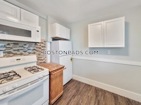 Roxbury Apartment for rent 5 Bedrooms 2.5 Baths Boston - $5,430