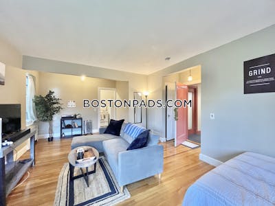 Brighton Apartment for rent Studio 1 Bath Boston - $2,200