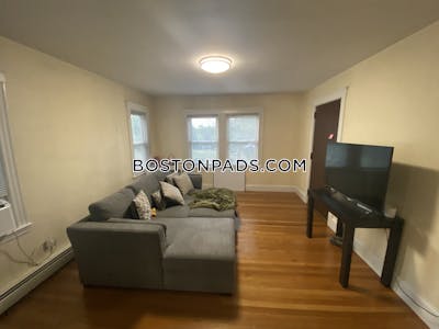 Roxbury Apartment for rent 1 Bedroom 1 Bath Boston - $2,050