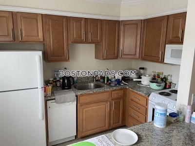 Brookline 2 Beds 1 Bath  Coolidge Corner - $3,300 No Fee