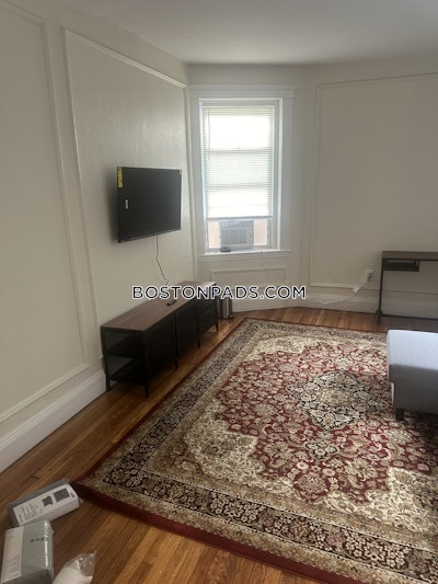 Brookline Apartment for rent 1 Bedroom 1 Bath  North Brookline - $2,500