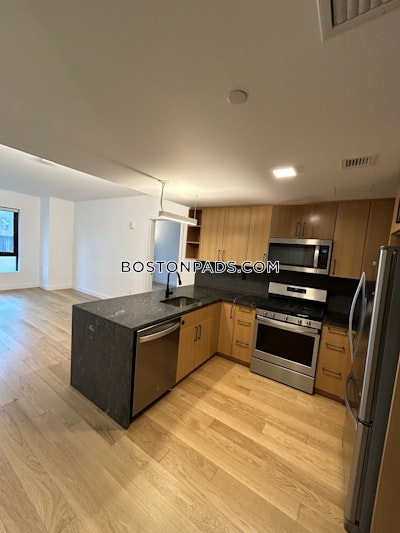 Allston Apartment for rent 2 Bedrooms 2 Baths Boston - $4,500 No Fee