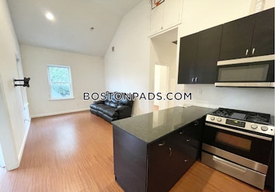 Mission Hill Apartment for rent 4 Bedrooms 2 Baths Boston - $6,400