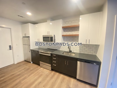 Allston Apartment for rent 2 Bedrooms 2 Baths Boston - $4,695 No Fee